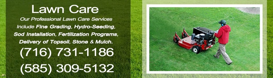 Lawn Care Services