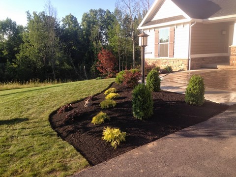 Landscaping