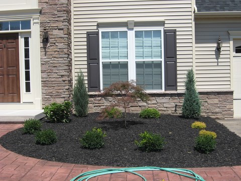 Landscaping